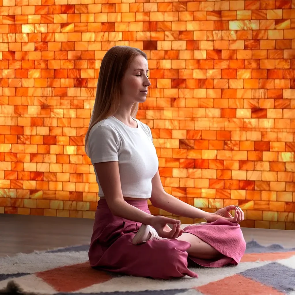 Himalayan salt blocks