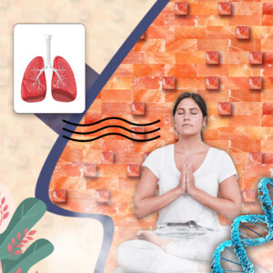 Salt Blocks
