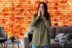 Salt Blocks for Allergy victim